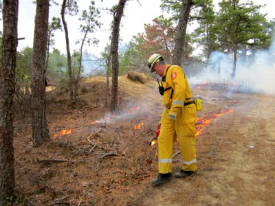 Chief Baker Lights Controlled Burn photo