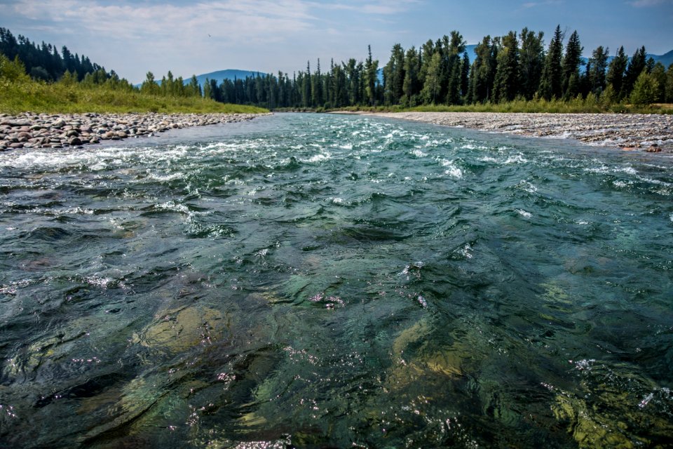 North Fork of the Flathead River