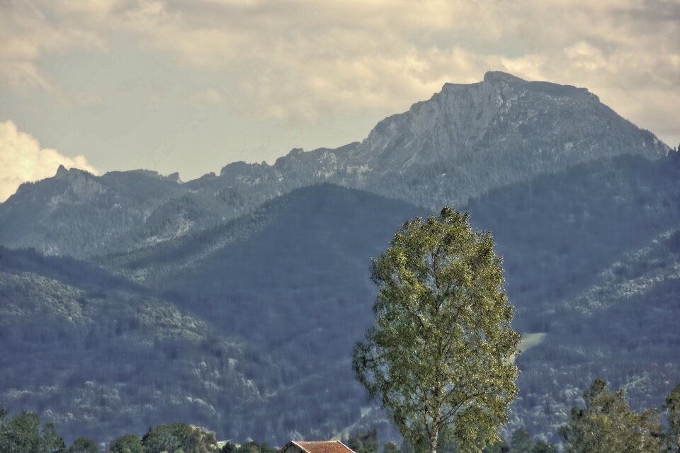 Green tree mountains grey sky