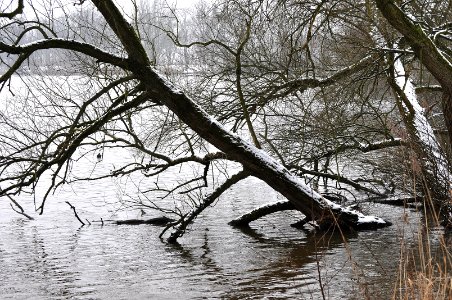 Winter-Wasser-Welt photo