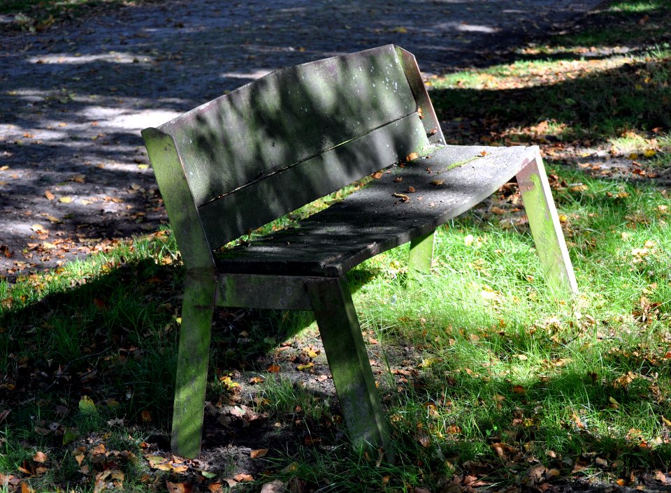 Old Bench in Light & Shadow