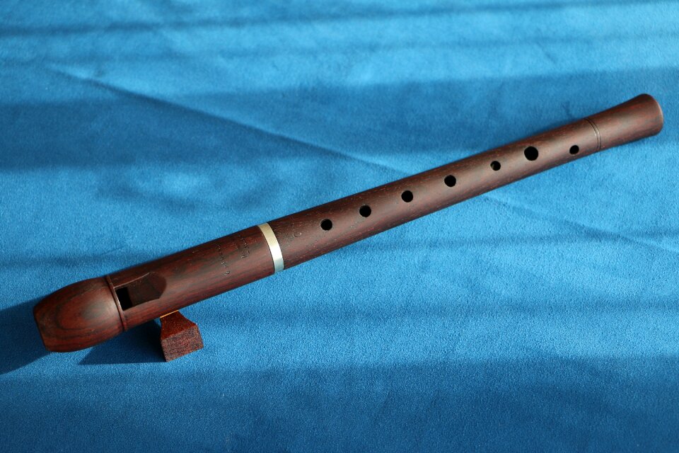 Flute recorder wood