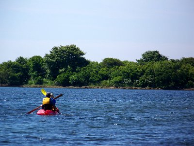 Kayakers photo