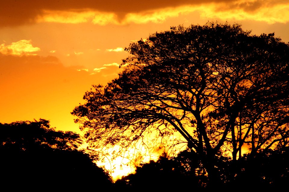 nossa-braslia---fim-de-tarde 20743110166 o