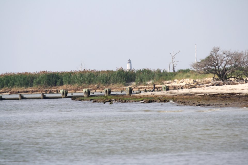 Bavon Beach project