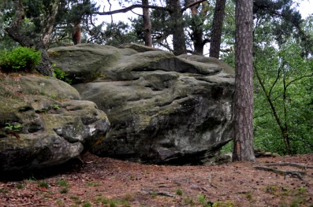 Naturformen