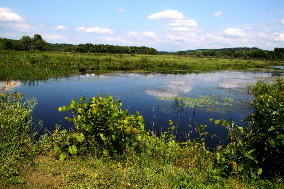 Hall's Creek at the Eagle Point Unit, Missisquoi National Wildlife Refuge