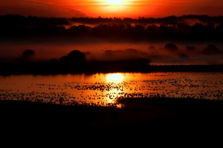 Sunrise over Knox Marsh