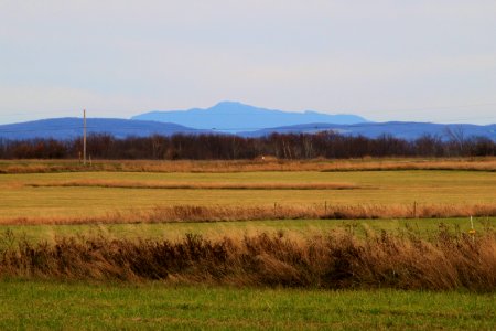 Mount Mansfield and Missisquoi National Wildlife Refuge grassland