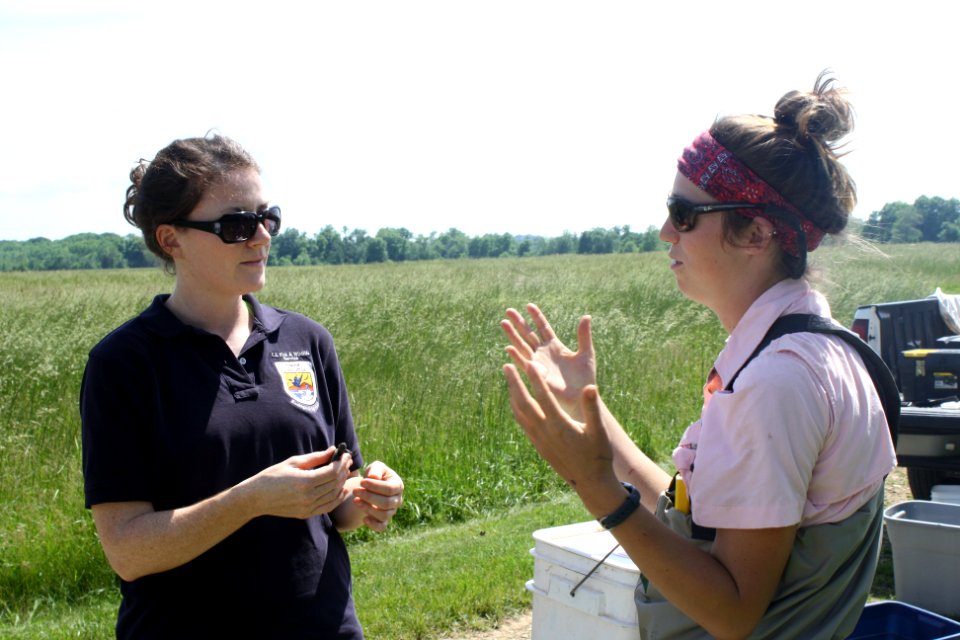 South River mercury study