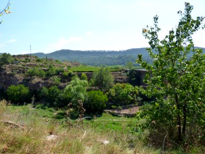 P1260442
