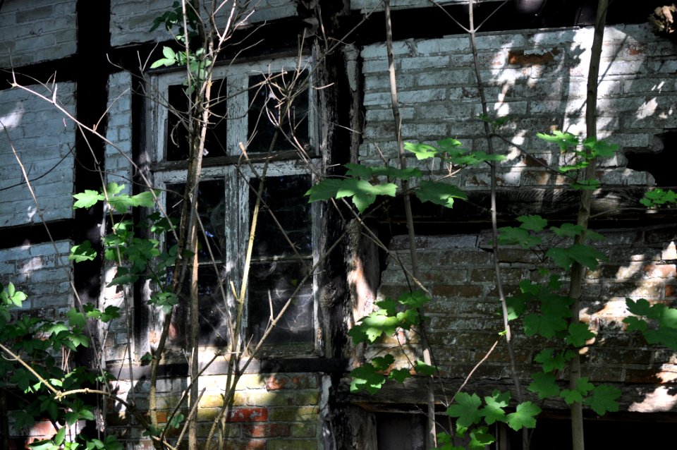 Das geheime Fenster