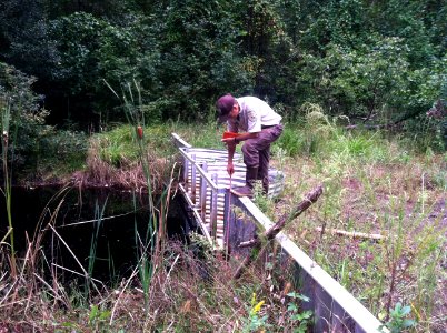 Fred Wurster, Hydrologist, manipulates a water control structure