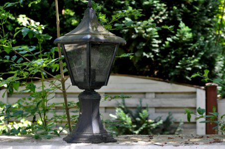 Meister Lampe