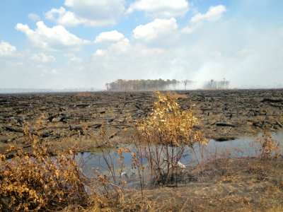 Lateral West Wildfire