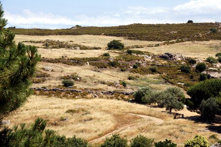 Nature landscape hill