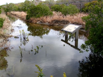 Hurricane Sandy damaged Cape May National Wildlife Refuge (NJ)