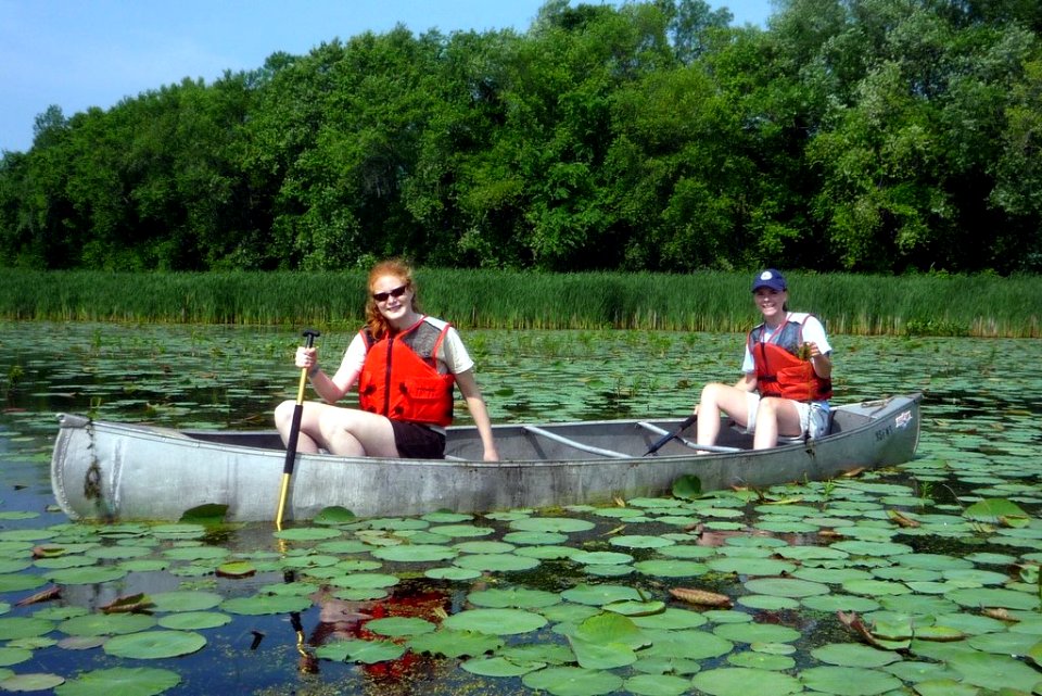 Pulling invasive species
