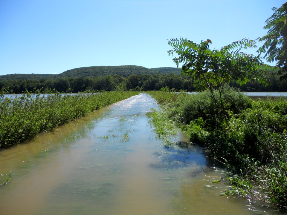 Flooding at WallKill River Refuge