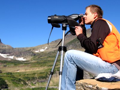 Scanning the cliffs near Logan Pass for mountain goats (Citizen Science)