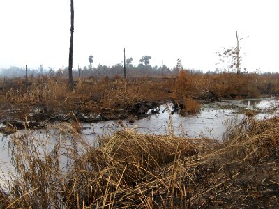 Flooding begins