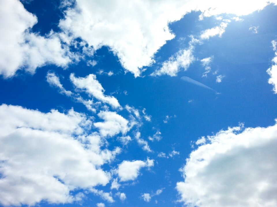 Sunshine nature blue sunshine