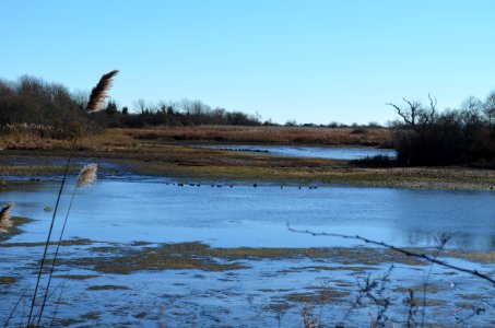 Emerging islands (RI)