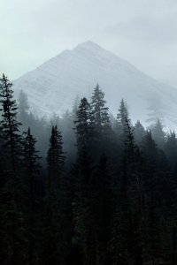 Heavens Peak through the Clouds from Avalanche Lake