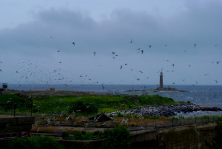 Great Gull Island, NY