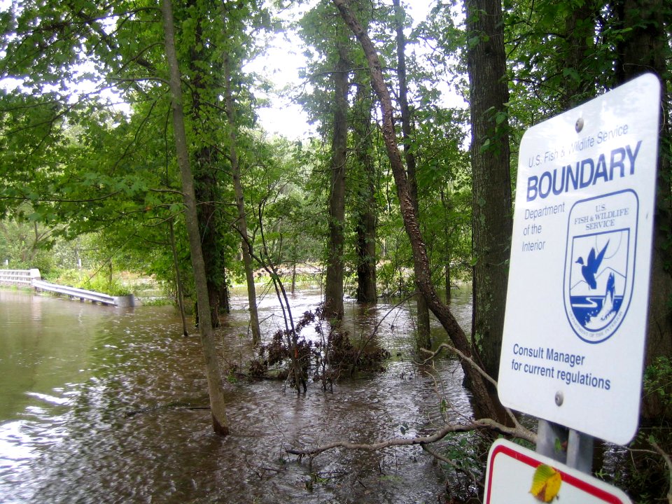Flooded road at Great Swamp