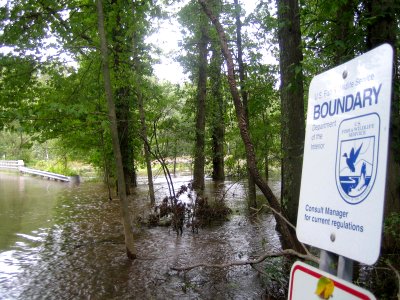 Flooded road at Great Swamp