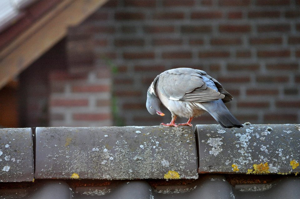 Are these my legs? photo