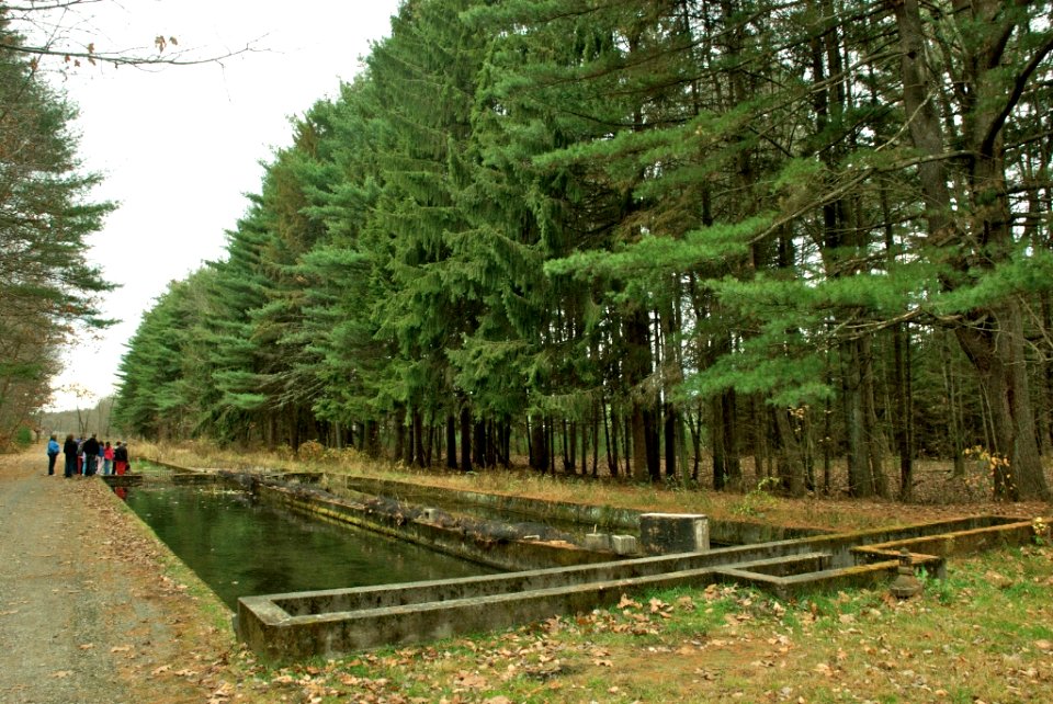 Natural Bottom Raceway