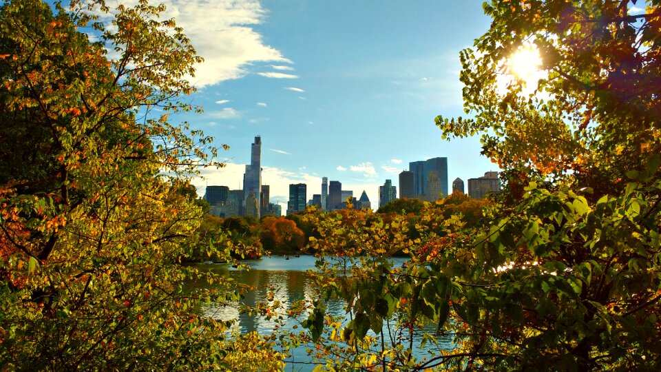 Manhattan park scenery