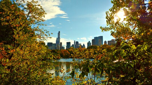 Manhattan park scenery photo