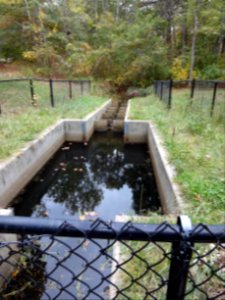 Existing, inefficient fish passage structure to be replaced photo