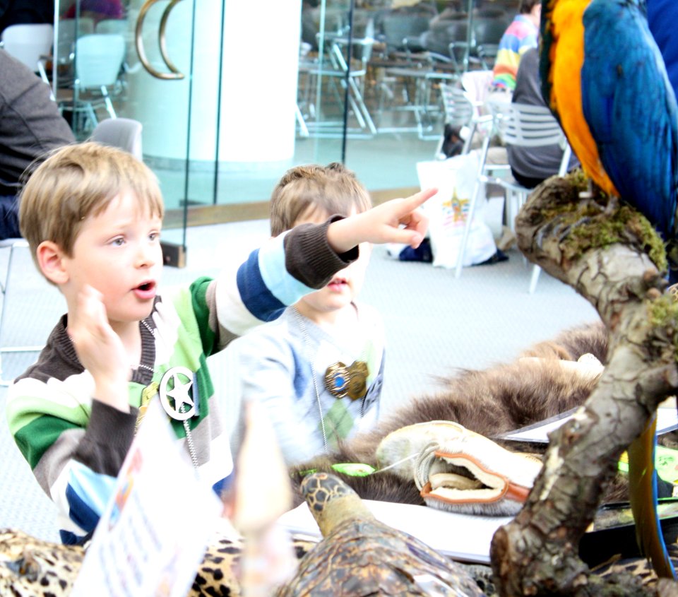 Boy and Macaw