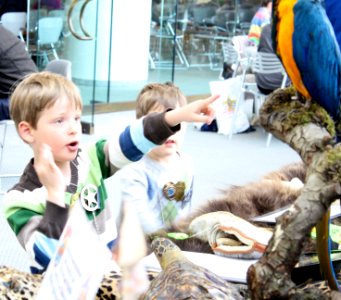 Boy and Macaw photo