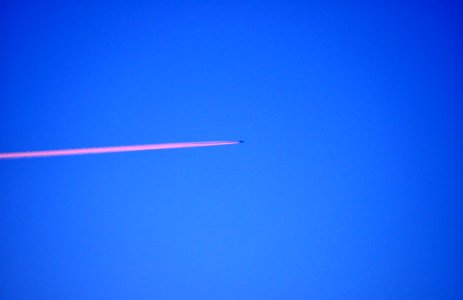 Flug in der Dämmerung