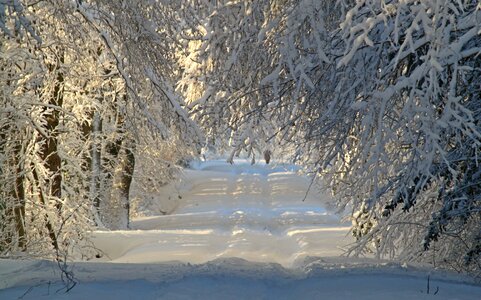 Snow landscape snowy snow lane