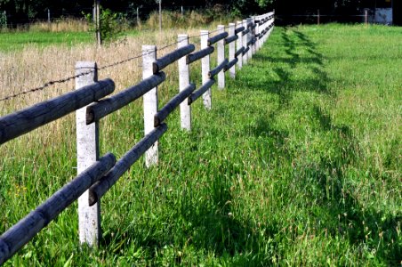 Zaun im Grünen photo