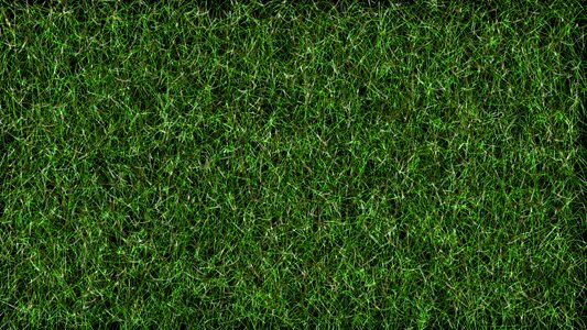 Green background wallpapers