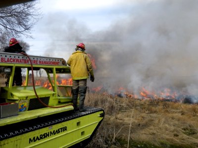 Blackwater Marshmaster at Eastern Neck Wildlife Refuge burn photo