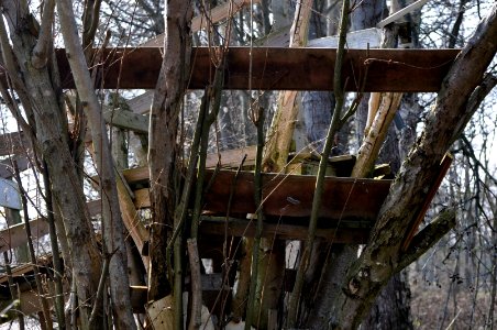 Der (Alb-)Traum von einem Baumhaus photo