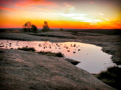 Vernal Pool - Arabia Mountain