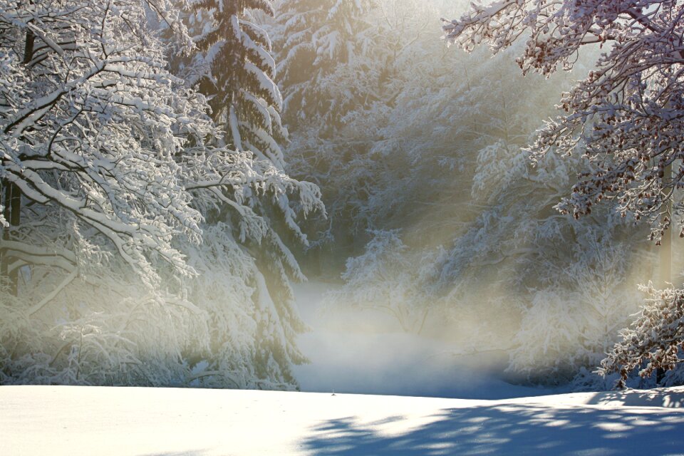 Snow landscape snowy fog snow trail