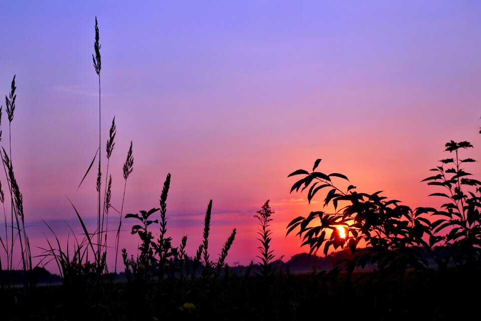 Sky nature morgenstimmung