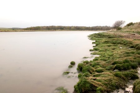 View of Water on Ythan Estuary photo