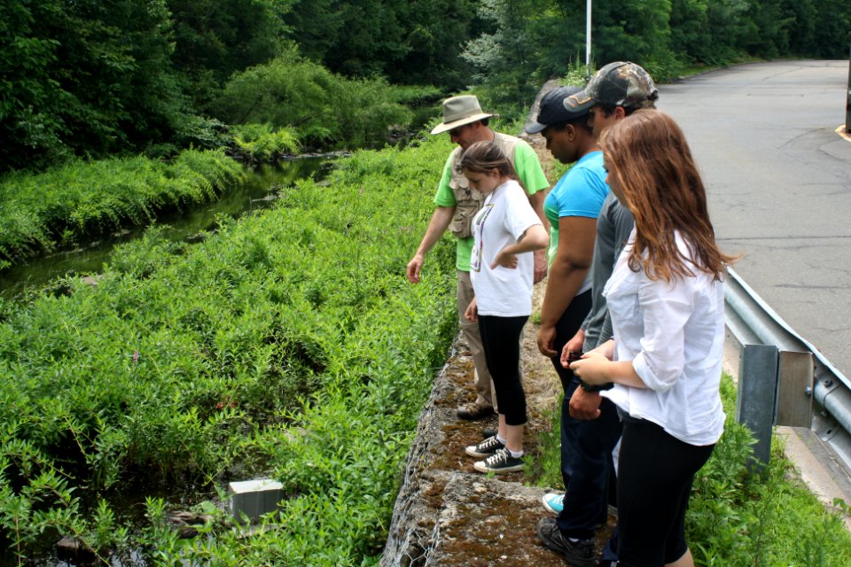 Students look at Sample Area
