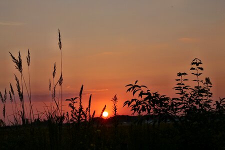 Sky nature morgenstimmung photo